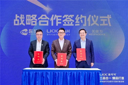 洛可可醫(yī)療咨詢(xún) 以專(zhuān)業(yè)設(shè)計(jì)，創(chuàng)造世界級(jí)醫(yī)療好產(chǎn)品